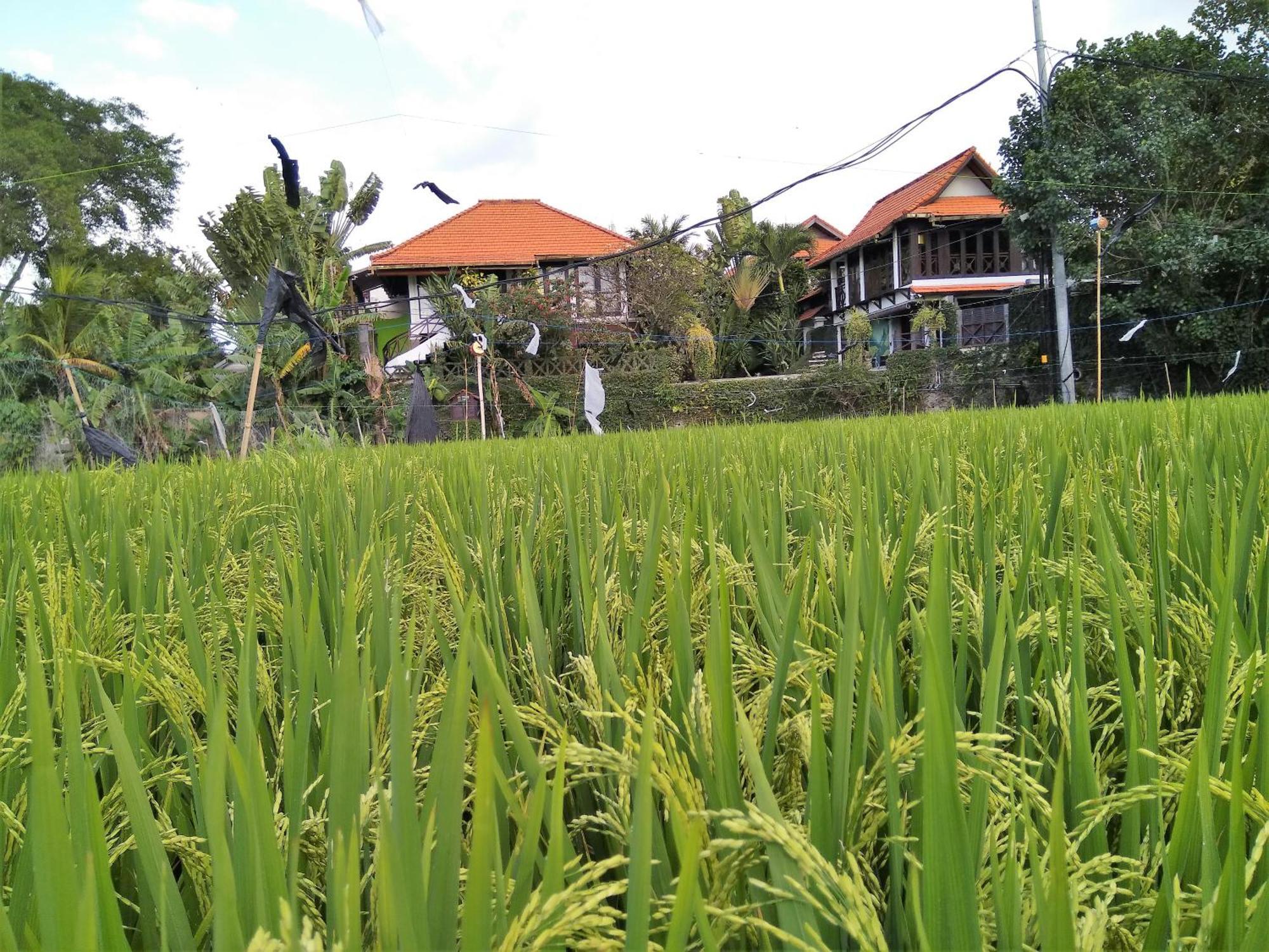 Umah Watu Villas Seminyak  Exterior photo